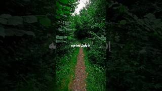 🌼ارحقلبك القرآنالكريم استغفرالله 🎧🍃راحةنفسية لايك 🩶🌼 [upl. by Kaasi753]