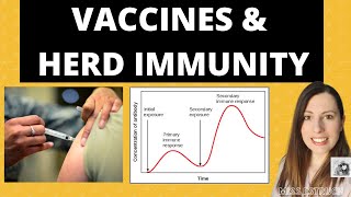 Alevel Biology VACCINATIONS Passive and Active Immunity The importance of HERD IMMUNITY [upl. by Meihar275]