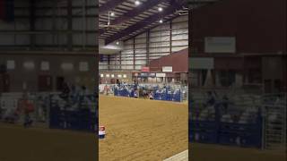 Reconditioning back into the rodeo grounds for 2025 season❗️trending viralvideo horse youtube [upl. by Cirilla]