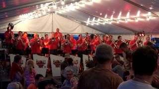 Holzhauermusik Radolfzell  Die Fischerin vom Bodensee  Weinfest Reichenau [upl. by Atiken413]