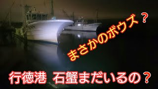 行徳港 大潮の行徳港は要注意 ❗夜の石蟹捕り [upl. by Krock]