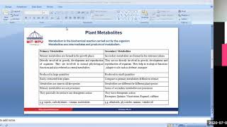 Primary and secondary metabolites [upl. by Mayor]