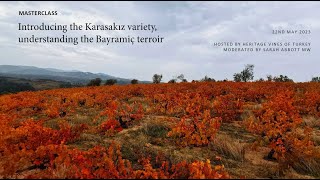 Introducing the Karasakız variety understanding the Bayramiç Terroir [upl. by Ariik579]