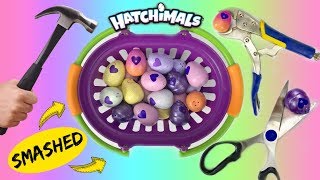 OPENING AND SMASHING HATCHIMALS Hatchimals CollEGGtibles GOLDEN HATCHIMAL LIMITED EDITION ULTRA [upl. by Chester]