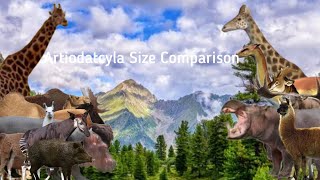 Artiodatcyla Size ComparisonCamelidsGiraffidaeCervidaeSuidaeBovidaeHippopotamidae [upl. by Taub]