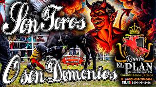 ¡¡Viven entre nosotros Son Toros o Son Demonios son los Toros de Rancho el Plan en Pichataro Mich [upl. by Felic]