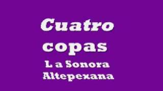 La Sonora Altepexana Cuatro Copas [upl. by Attesor623]