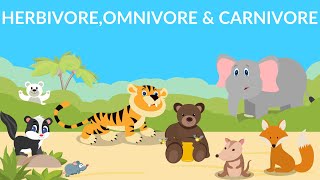 Herbivores  Carnivores  Omnivores  Types of Animals [upl. by Onairelav]