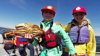 The Recreational Crab Fishery in Puget Sound Washington [upl. by Viole530]