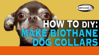 How to Make a BioThane Dog Collar [upl. by Ermanno]