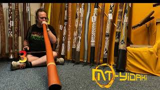 Didgeridoo lesson by MTYidaki  Mi Dushi It seems more easy than it is [upl. by Ahsahs241]