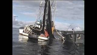 Southeast Alaska Salmon fishing [upl. by Annoved775]