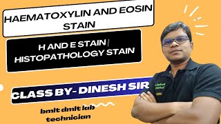 Haematoxylin and Eosin Stain  H and E stain  Histopathology stain Theory class [upl. by Morice]