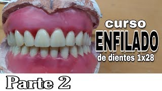 PRÓTESIS TOTAL ENFILADO o ARTICULADO DE DIENTES INFERIORES  Parte 2 [upl. by Asiat]