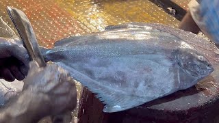 Big Black Pomfret Fish Cutting amp Chopping In Fish Market  Fish Cutting Skills [upl. by Spiegel]