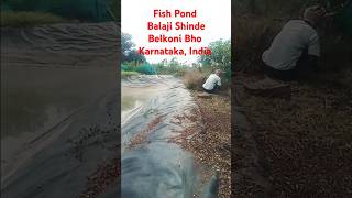 Fish fishpond fishpond farming fishyoutube balajishinde8 [upl. by Soilisav]