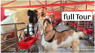 MD Goat Farm Ramadan Series 2024  Full Farm Tour [upl. by Derk]