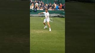 Corentin Moutets Forehand Up Close atp tennis forehand [upl. by Hasila811]