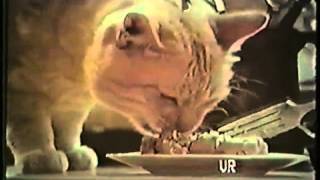 1970 Commercials Maxwell House to Maxwell House [upl. by Chester130]