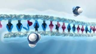 Watch QIAGENs unique PCR buffer in action [upl. by Cis]