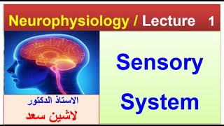 Sensory receptorslLashin دلاشين [upl. by Atilam]