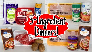 The BEST 3Ingredient Recipes  QUICK amp EASY DINNER IDEAS  Fast Tasty Simple Meals  Julia Pacheco [upl. by Nikaniki]