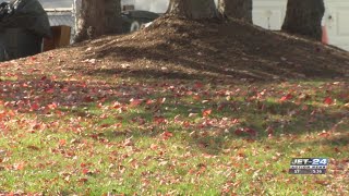 Fall leaves mean leaf clean up – Here’s what you need to know [upl. by Noswad]