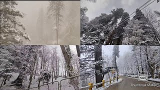 Peaceful Mountains  Must visit Murree In January 2023  Totally Safe Now [upl. by Thier]