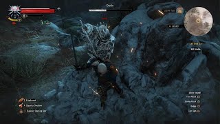 Witcher 3 easy way to beat eriden [upl. by Durstin]