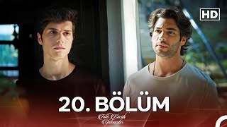 Tatlı Küçük Yalancılar 20 Bölüm FULL HD [upl. by Halladba520]