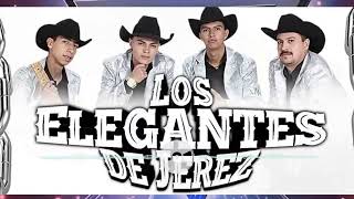 Los Elegantes de Jerez  Mix De Huapangos 2022 [upl. by Neit]