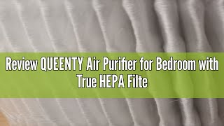 Review QUEENTY Air Purifier for Bedroom with True HEPA Filter Portable HEPA Air Purifier for Office [upl. by Wendelina83]