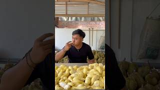 Mukbang durian satu baskom doniartawan [upl. by Yeca267]