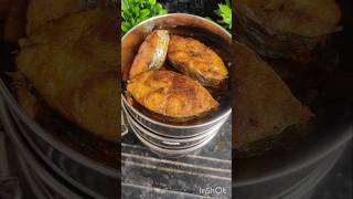 Todays lunch box  vanjaram fishfry fish kulambu dragon fruit ytshorts viralvideo trending [upl. by Kama]