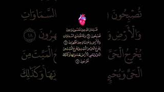 Quran short clips🎧💜 beautifulrecite love quran peace [upl. by Ardolino]