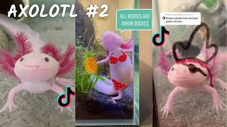 Axolotl  TikTok amp İntagram Compilation 2023 4K PART 2 [upl. by Burns]