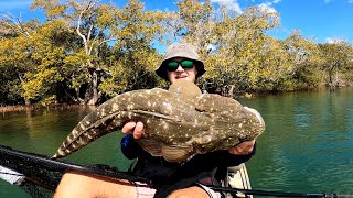 Kayak Fishing for GIANT Flathead [upl. by Timothy]