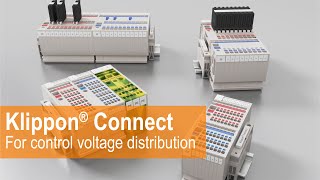 Klippon® Connect for control voltage distribution – Safe wiring for consumers in the panel [upl. by Topper340]