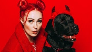 MY GUIDE DOG STARRED IN YOUTUBE REWIND 2018 ft Rosanna Pansino The Dolan Twins Try Guys [upl. by Fia]