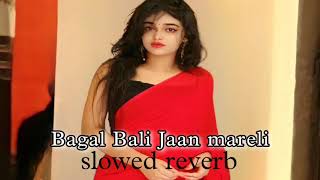 BAGAL BALI JAAN MARELI  BHOJPURI SONG  SLOWED REVERB  OLD IS GOLD [upl. by Ivie]