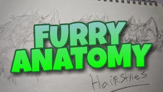 FURRY ANATOMY  How to draw furry hair [upl. by Alakam]