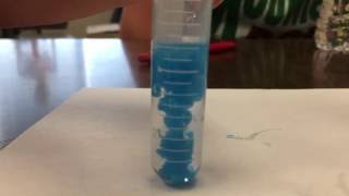 Sodium Hydroxide and Copper Sulfate reaction [upl. by Enialahs172]