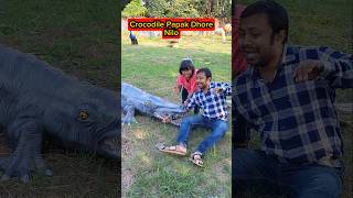 Crocodile🐊Papak Dhore💥Nilo😱🤣 shorts funnyvideo comedy trishikarimpa [upl. by Eimia]