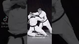 Info corsi wwwartimarzialinet karate martialarts jujitsu selfdefense [upl. by Niamert]