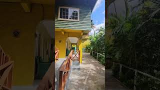 Bay View Eco Resort amp Spa Portland Jamaica travel vacation jamaica caribbeantravel shortvideo [upl. by Netsrejk]