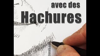 Portrait  Apprendre à dessiner des hachures  Pas à pas [upl. by Cinimod]