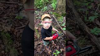 Cutting down a tree with Dad  Chainsaws and UTVs  real and toys [upl. by Anazraf]