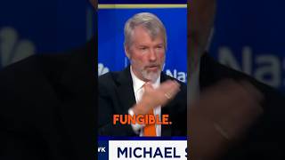 Michael Saylor Shuts Down Bitcoin Doubter on CNBC [upl. by Noneek]