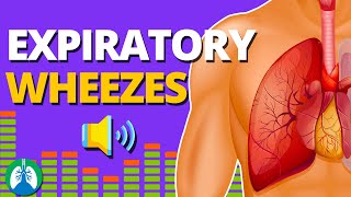 Expiratory Wheezes Monophonic vs Polyphonic  Respiratory Therapy Zone [upl. by Halla]