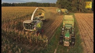 Maisernte 2018  Maisprofis häckseln u silieren Energiemais für Biogas plant biggest corn harvest [upl. by Bergeron970]